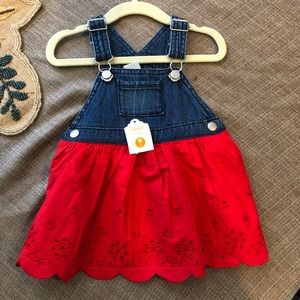 Gymboree Baby Dress